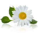 Chidhambaram