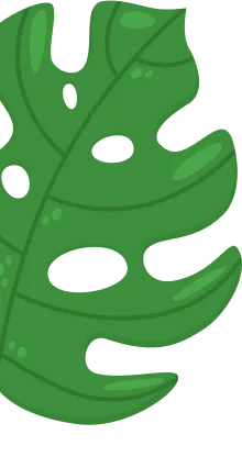 shape